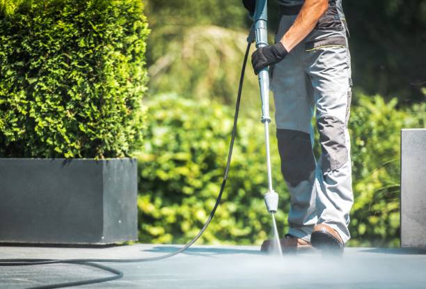 Best Sidewalk and Walkway Cleaning  in Waterford, WI