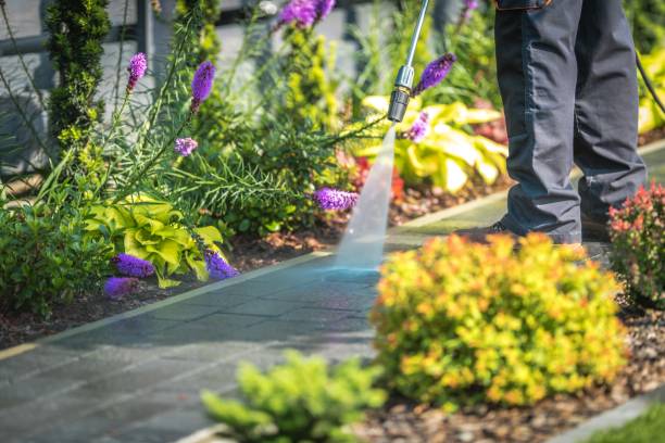  Waterford, WI Pressure Washing Pros